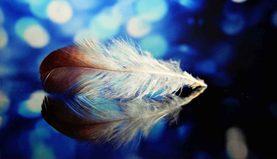 麥景龍-畫面細膩高清